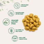 ⁦Micro Ingredients Ginger Root with MCT Oil, 360 Softgels⁩ - الصورة ⁦3⁩