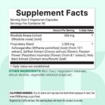 ⁦Micro Ingredients Rhodiola Rosea Complex 3000mg, 240 Vegetarian Capsules⁩ - الصورة ⁦2⁩