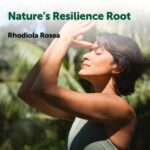 ⁦Micro Ingredients Rhodiola Rosea Complex 3000mg, 240 Vegetarian Capsules⁩ - الصورة ⁦5⁩