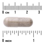 ⁦Swanson ٫ Devil's Claw, 500 mg, 100 Capsules⁩ - الصورة ⁦3⁩