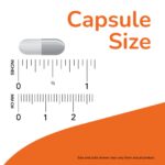 ⁦NOW Foods , St. John's Wort, 300 mg, 100 Veg Capsules⁩ - الصورة ⁦3⁩