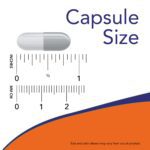 ⁦NOW Foods , Bromelain, 500 mg, 60 Veg Capsules⁩ - الصورة ⁦5⁩