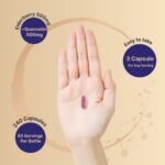 ⁦NatureBell Elderberry 4-in-1 Formula with Quercetin, 240 Capsules⁩ - الصورة ⁦4⁩