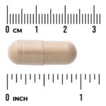 ⁦Swanson Vitamins , Full Spectrum® Ashwagandha, 450 mg, 100 Vegan Capsules⁩ - الصورة ⁦4⁩