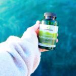 ⁦Swanson Vitamins , Full Spectrum® Ashwagandha, 450 mg, 100 Vegan Capsules⁩ - الصورة ⁦3⁩