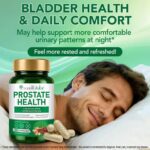 ⁦Prostate Health Capsules 90 Units
Acentiallabs Prostate Health Capsules 90 capsules⁩ - الصورة ⁦2⁩