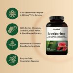 ⁦Naturebell, Berberine with Ceylon Cinnamon Complex 4800mg, 240 vegetarian capsules⁩ - الصورة ⁦4⁩