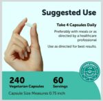 ⁦Micro ingredient, Acetyl L-Carnitine HCl (ALCAR) 2000 mg Per Serving, 240 Veggie Capsules
2-in-1 ALCAR Supplement with NAD+ | Brain Function & Cellular Energy Support* | Non-GMO, Gluten Free, cGMP Manufactured⁩ - الصورة ⁦3⁩